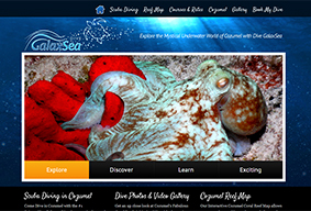 cozumel diseno web pagina sitios webpage design development cozumel mexico