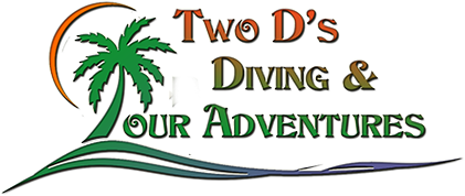 dive cozumel diving and scuba diving cozumel snorkel tours and cozumel snorkeling excursions
