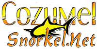 cozumel snorkel tours cozumel snorkeling excursions and snorkeling in cozumel mexico